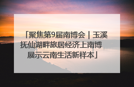 聚焦第9届南博会｜玉溪抚仙湖畔旅居经济上南博 展示云南生活新样本