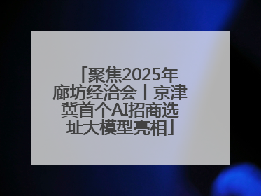 聚焦2025年廊坊经洽会丨京津冀首个AI招商选址大模型亮相
