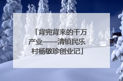背兜背来的千万产业——清镇民乐村杨敏珍创业记