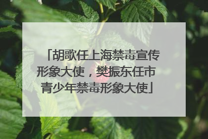 胡歌任上海禁毒宣传形象大使，樊振东任市青少年禁毒形象大使