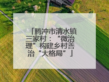 腾冲市清水镇三家村：“微治理”构建乡村善治“大格局”