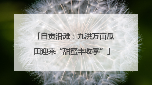 自贡沿滩：九洪万亩瓜田迎来“甜蜜丰收季”