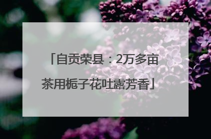 自贡荣县：2万多亩茶用栀子花吐露芳香
