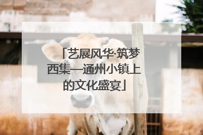 艺展风华·筑梦西集—通州小镇上的文化盛宴