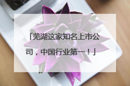 芜湖这家知名上市公司，中国行业第一！