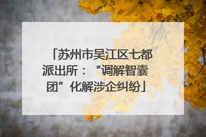 苏州市吴江区七都派出所：“调解智囊团”化解涉企纠纷