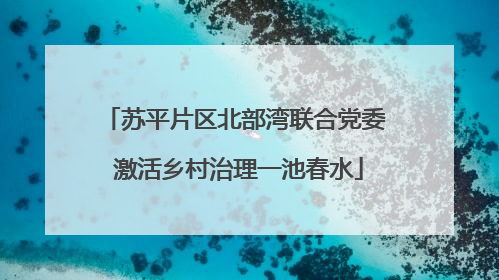苏平片区北部湾联合党委 激活乡村治理一池春水