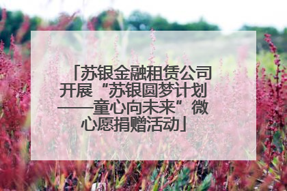 苏银金融租赁公司开展“苏银圆梦计划——童心向未来”微心愿捐赠活动