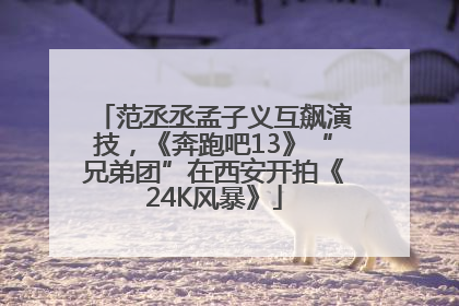 范丞丞孟子义互飙演技，《奔跑吧13》“兄弟团”在西安开拍《24K风暴》