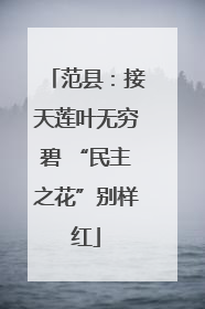 范县：接天莲叶无穷碧 “民主之花”别样红
