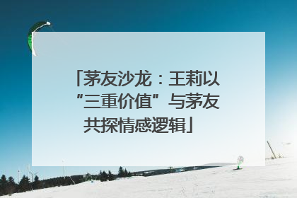 茅友沙龙：王莉以“三重价值”与茅友共探情感逻辑