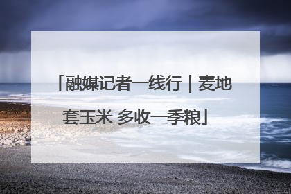 融媒记者一线行｜麦地套玉米 多收一季粮