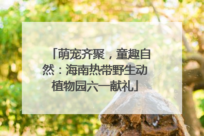 萌宠齐聚，童趣自然：海南热带野生动植物园六一献礼
