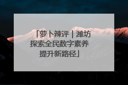 萝卜辣评｜潍坊探索全民数字素养提升新路径