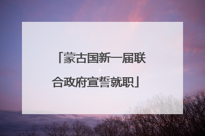 蒙古国新一届联合政府宣誓就职