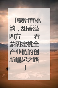 蒙阴育桃韵，甜香溢四方——看蒙阴蜜桃全产业链的创新崛起之路