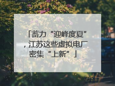 蓄力“迎峰度夏”，江苏这些虚拟电厂密集“上新”