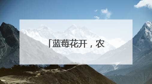蓝莓花开，农民增收笑开怀