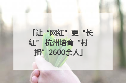 让“网红”更“长红” 杭州培育“村播”2600余人