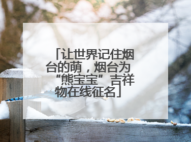 让世界记住烟台的萌，烟台为“熊宝宝”吉祥物在线征名
