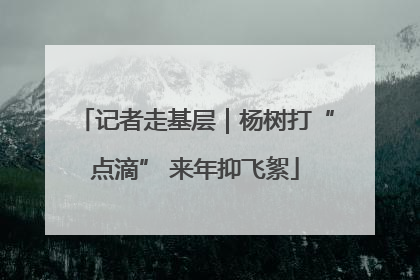 记者走基层｜杨树打“点滴” 来年抑飞絮