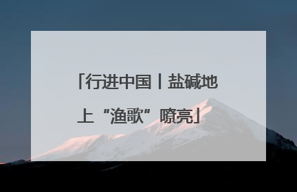 行进中国丨盐碱地上“渔歌”嘹亮