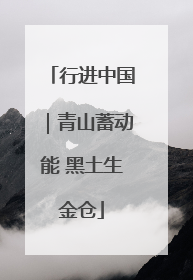 行进中国｜青山蓄动能 黑土生金仓