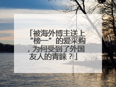 被海外博主送上“榜一”的爱采购，为何受到了外国友人的青睐？