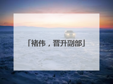 褚伟，晋升副部