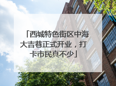 西城特色街区中海大吉巷正式开业，打卡市民真不少