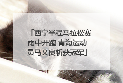 西宁半程马拉松赛雨中开跑 青海运动员马文良斩获冠军