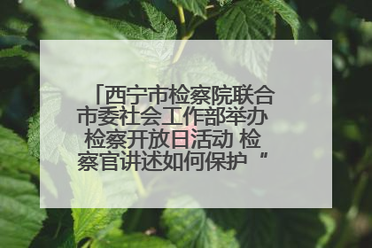西宁市检察院联合市委社会工作部举办检察开放日活动 检察官讲述如何保护“少年的你”