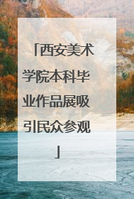 西安美术学院本科毕业作品展吸引民众参观