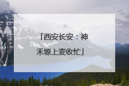 西安长安：神禾塬上麦收忙