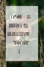 西峡：志愿同行 绘就基层治理“同心圆”
