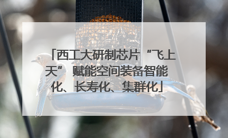 西工大研制芯片“飞上天” 赋能空间装备智能化、长寿化、集群化