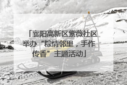 襄阳高新区紫薇社区举办“粽情邻里，手作传香”主题活动
