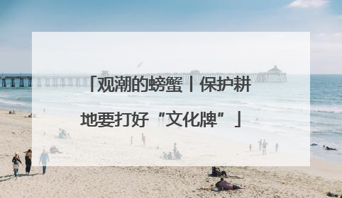 观潮的螃蟹丨保护耕地要打好“文化牌”