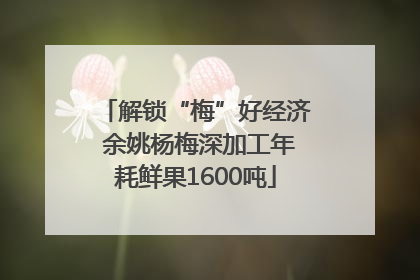 解锁“梅”好经济 余姚杨梅深加工年耗鲜果1600吨