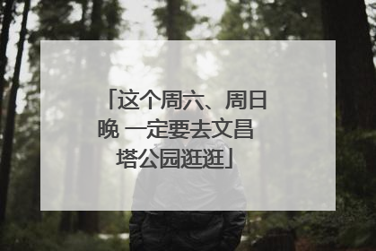 这个周六、周日晚 一定要去文昌塔公园逛逛