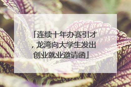 连续十年办赛引才，龙湾向大学生发出创业就业邀请函
