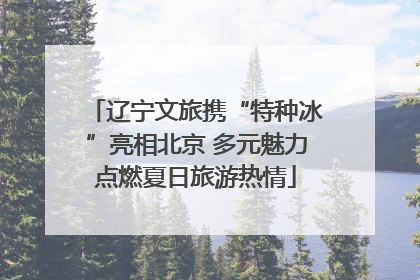 辽宁文旅携“特种冰”亮相北京 多元魅力点燃夏日旅游热情