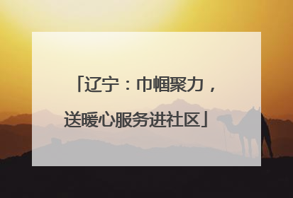 辽宁：巾帼聚力，送暖心服务进社区