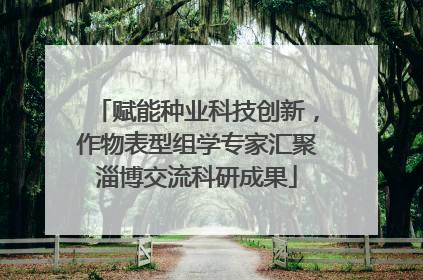 赋能种业科技创新，作物表型组学专家汇聚淄博交流科研成果