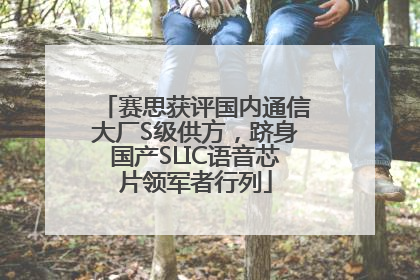 赛思获评国内通信大厂S级供方，跻身国产SLIC语音芯片领军者行列
