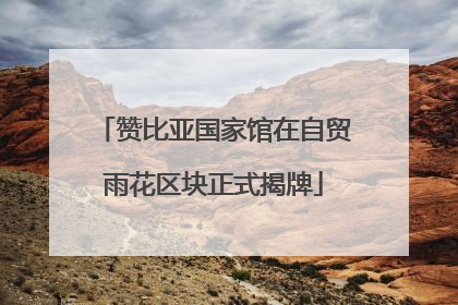 赞比亚国家馆在自贸雨花区块正式揭牌