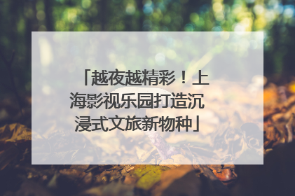 越夜越精彩！上海影视乐园打造沉浸式文旅新物种