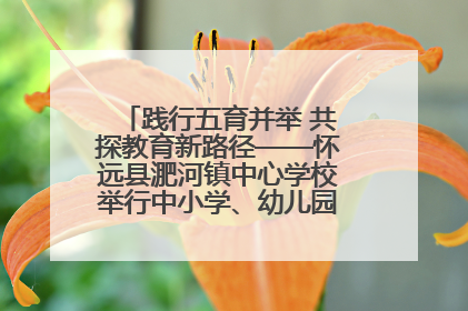 践行五育并举 共探教育新路径——怀远县淝河镇中心学校举行中小学、幼儿园班主任论坛活动