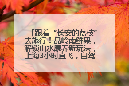 跟着“长安的荔枝”去旅行！品岭南鲜果，解锁山水康养新玩法，上海3小时直飞，自驾高速费优惠