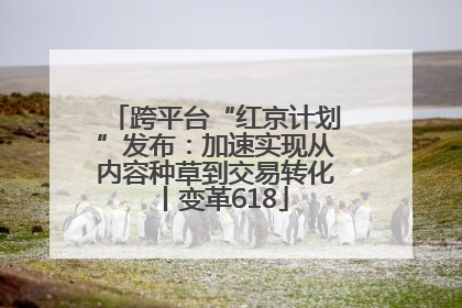 跨平台“红京计划”发布：加速实现从内容种草到交易转化丨变革618